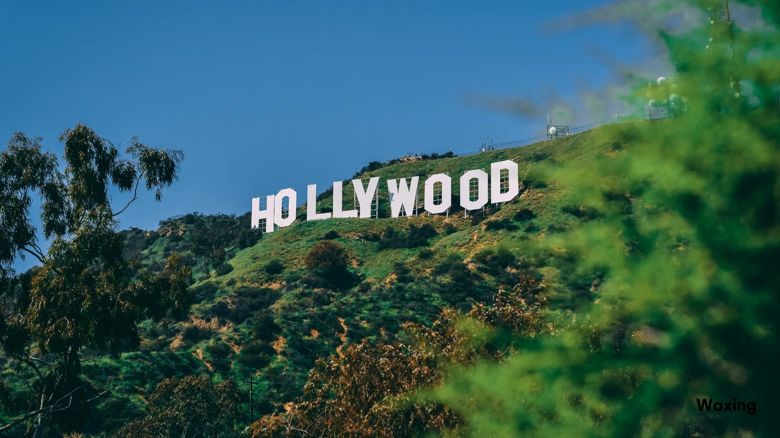 Hollywood Waxing addlestone